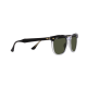 RAY BAN EAGLEEYE RB2398/1294/31 53 RAY BAN EAGLEEYE RB2398/1294/31 53